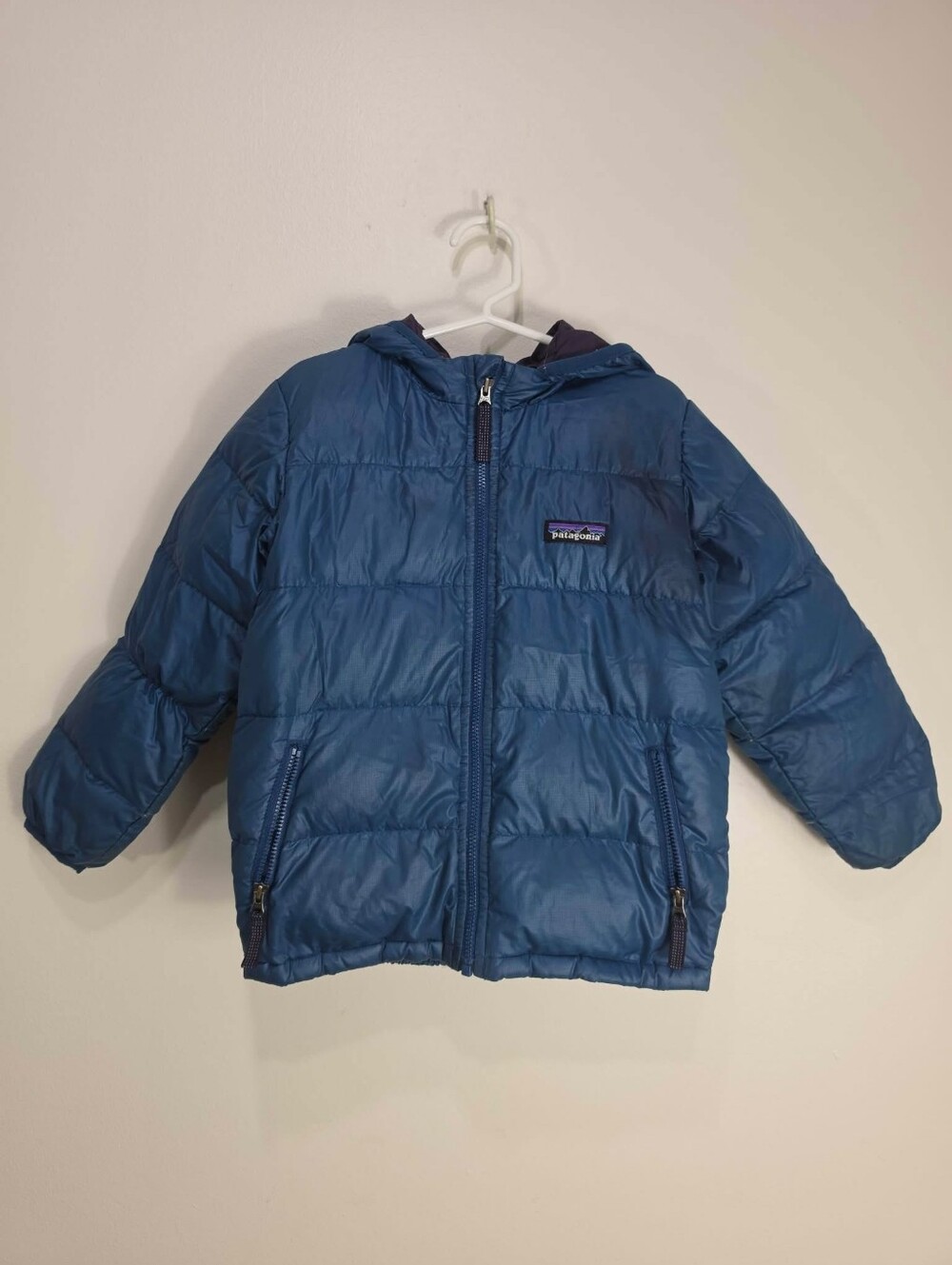 Patagonia Kids Puffy Hooded Jacket